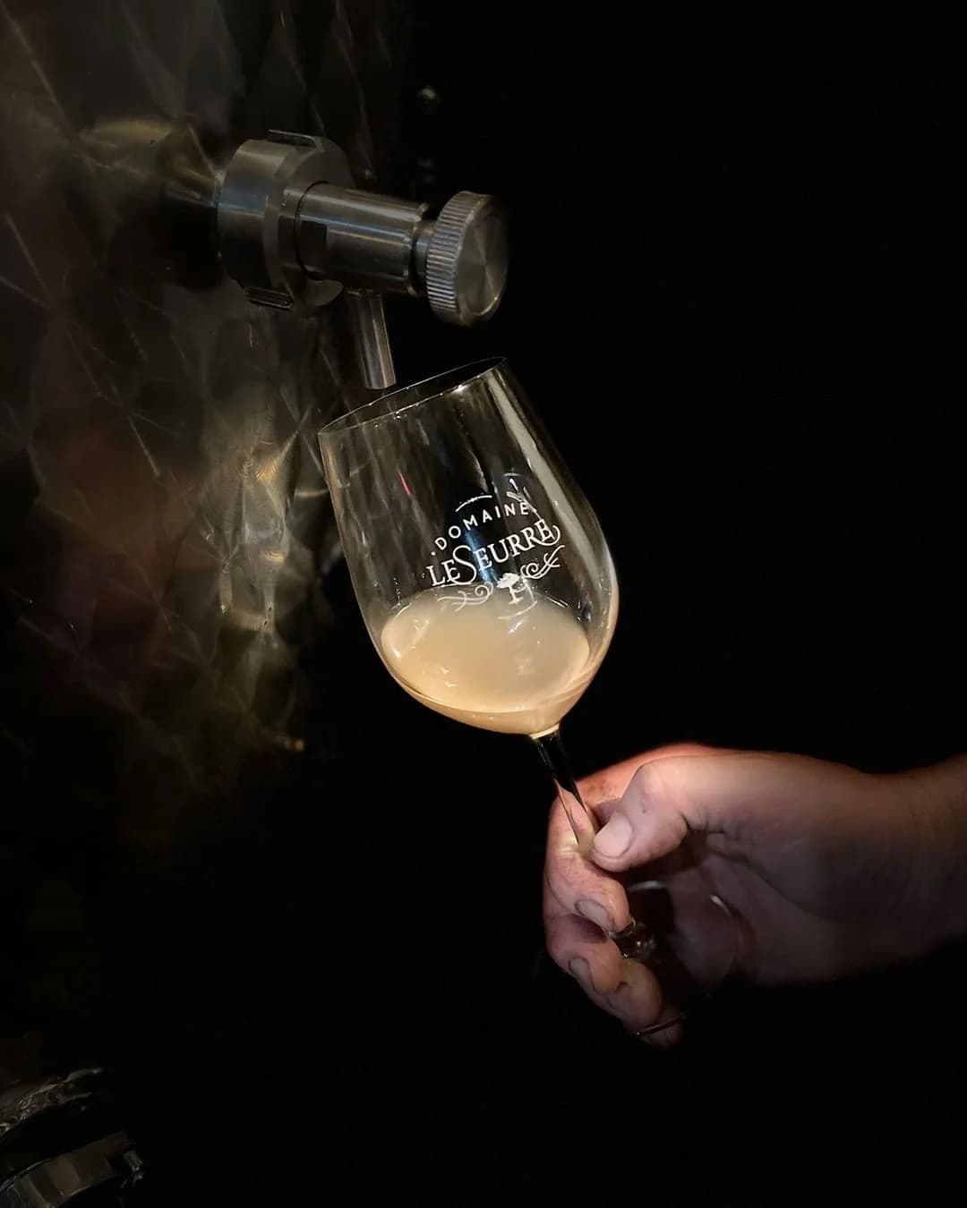 Wine club members enjoying a tasting at Domaine LeSeurre