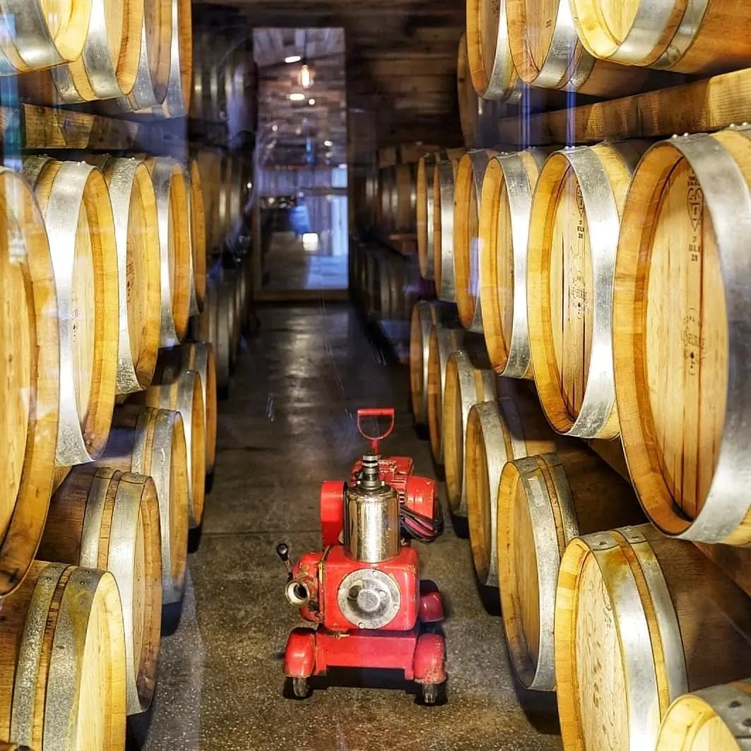 Barrel room at Domaine LeSeurre