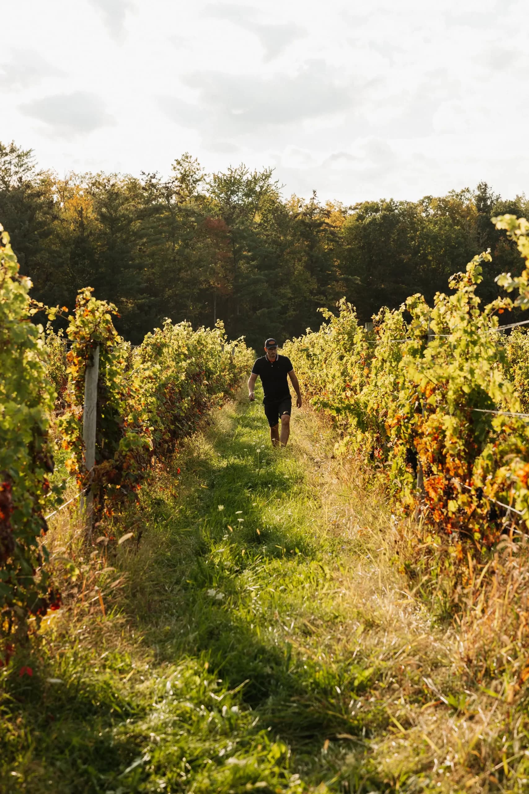 Educational Wine Tasting