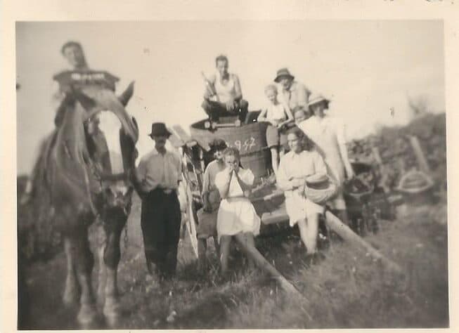 Vendanges in Champagne, 1947